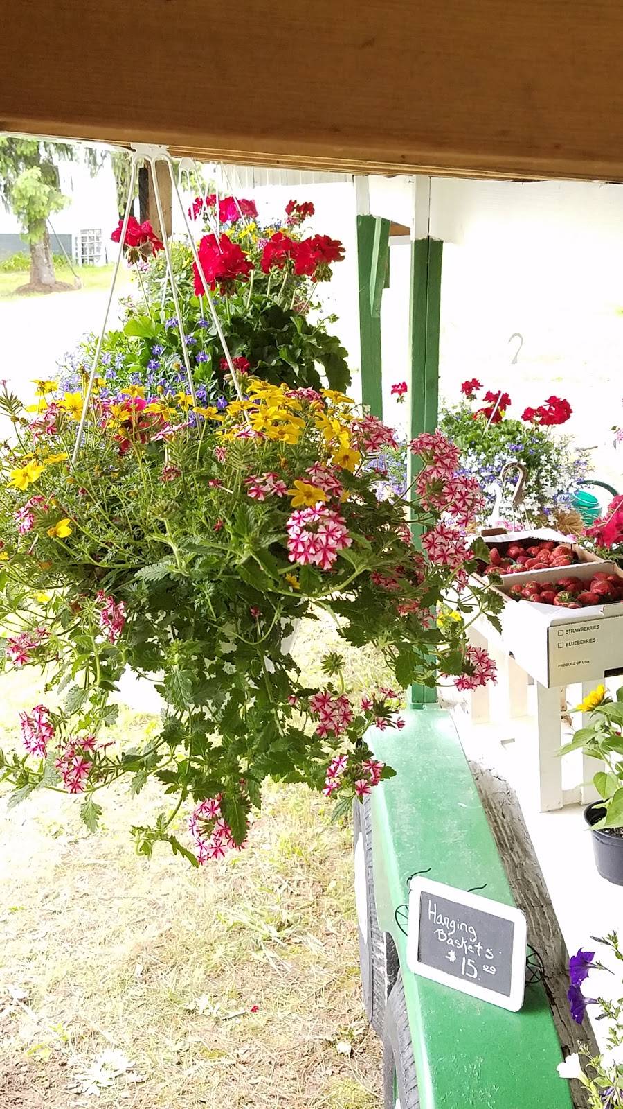 Gunthers Pit Beef & Produce | restaurant | 1501 Starr Rd, Centreville, MD 21617, USA | 4439883034 OR +1 443-988-3034