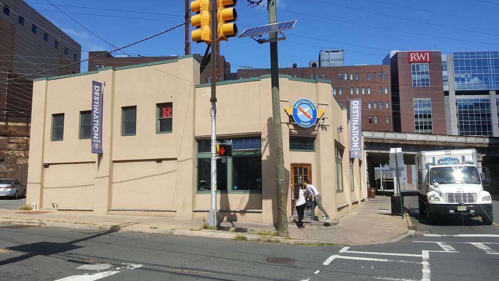 Destination Dogs | restaurant | 101 Paterson St, New Brunswick, NJ 08901, USA | 7329931016 OR +1 732-993-1016