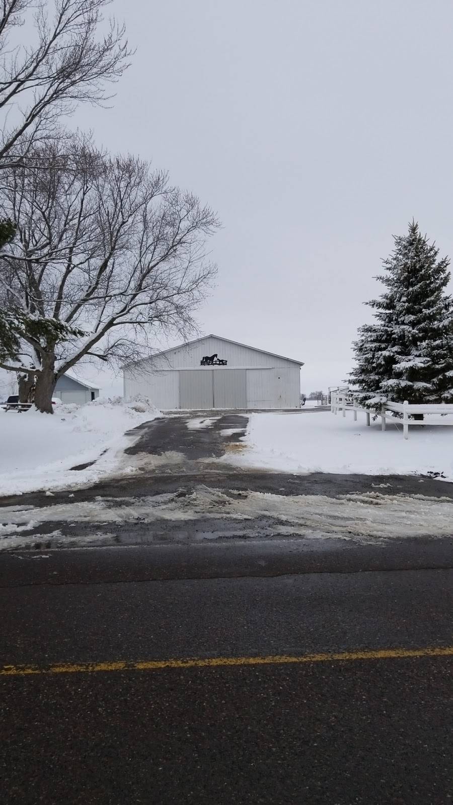 Horst stables | restaurant | N13653 County Rd M, Thorp, WI 54771, USA | 7156693136 OR +1 715-669-3136