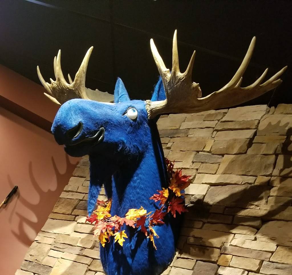 Blue Moose | restaurant | 10064 Woodland Rd, Lenexa, KS 66220, USA | 9132136950 OR +1 913-213-6950