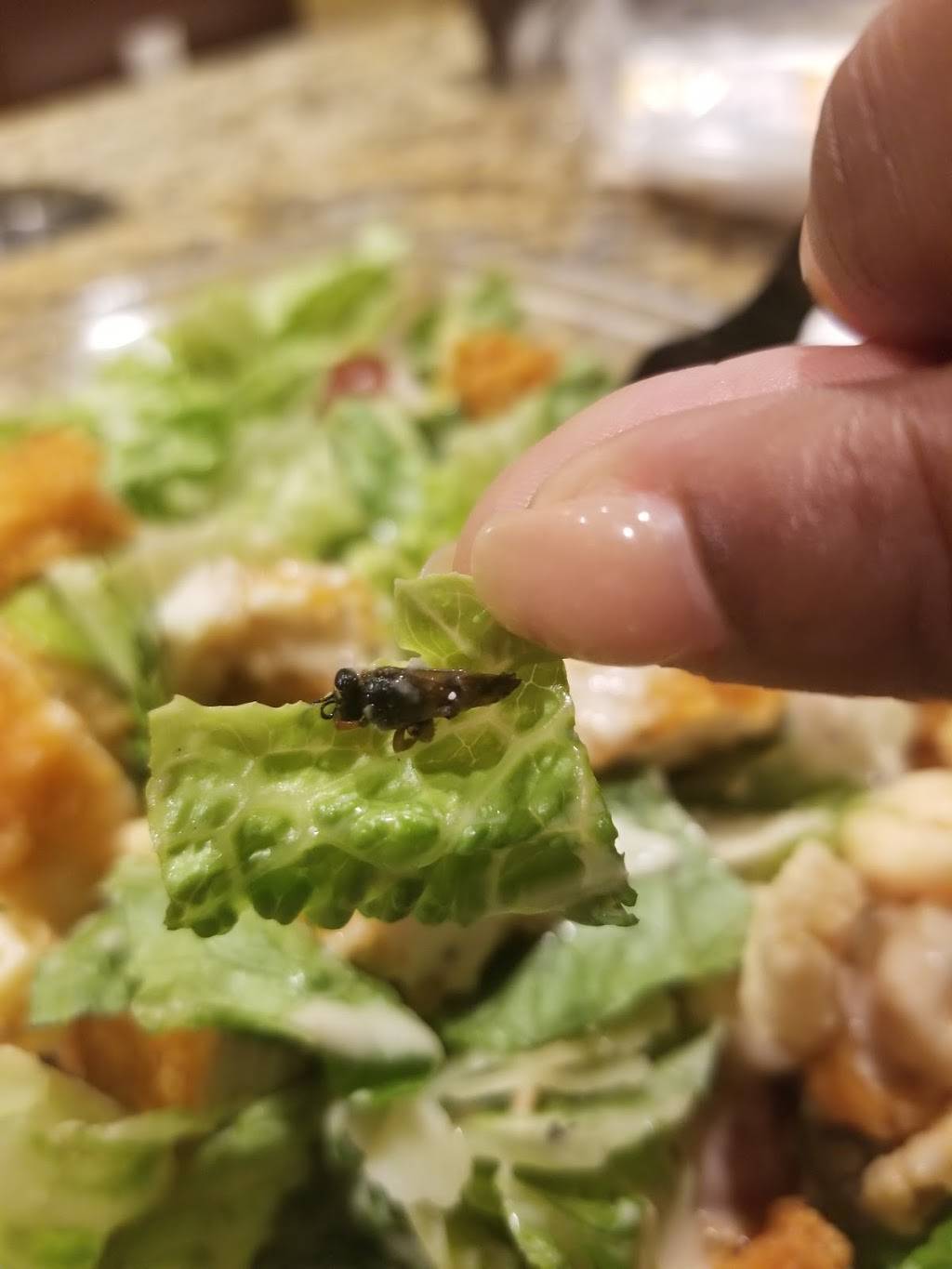 Wendys | restaurant | 3271 Vineland Rd, Kissimmee, FL 34746, USA | 3216668271 OR +1 321-666-8271