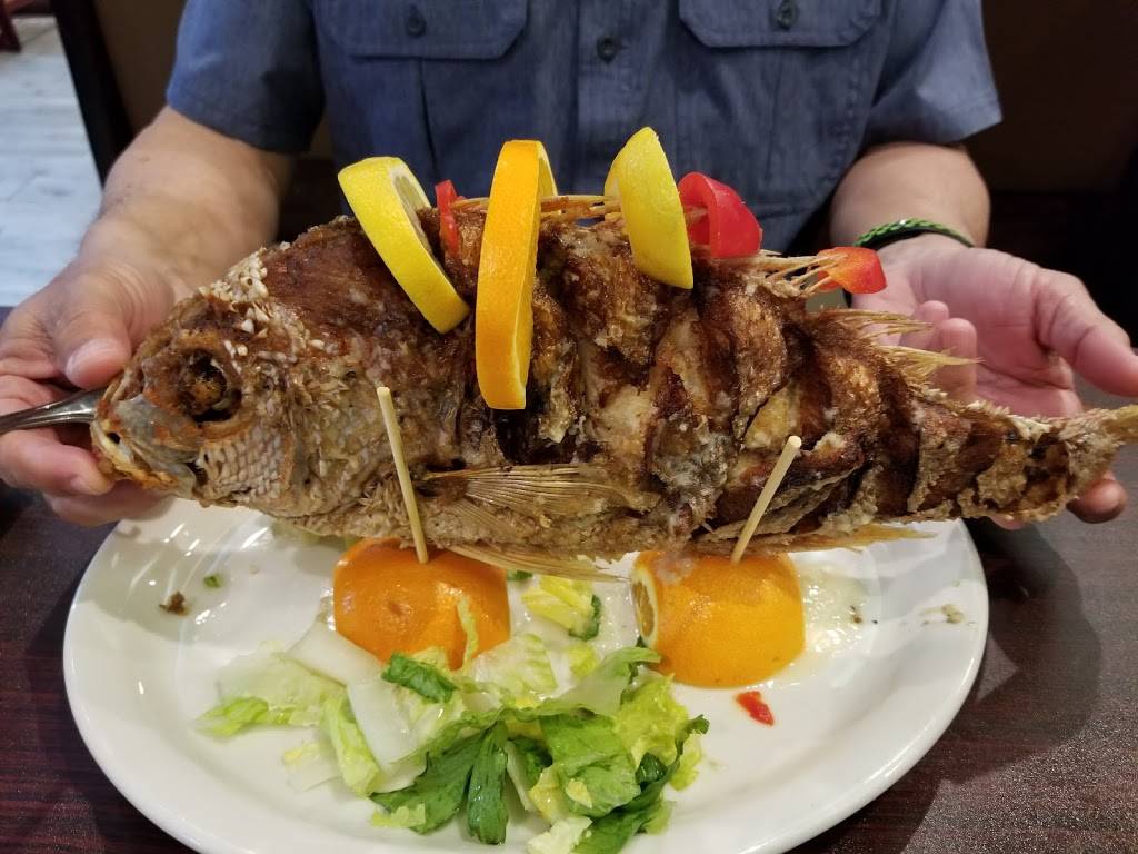 Copacabana Cuban Cafe | cafe | 249 W State Rd 436 #1061, Altamonte Springs, FL 32714, USA | 3212032226 OR +1 321-203-2226