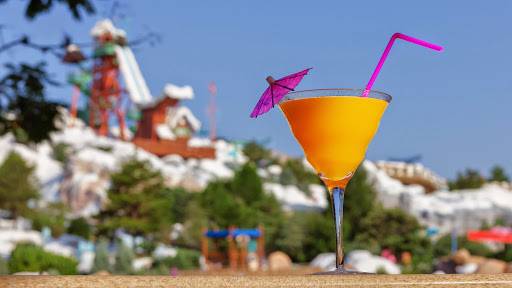 Polar Pub | restaurant | 2902 Osceola Pkwy, Orlando, FL 32830, USA | 4079393463 OR +1 407-939-3463