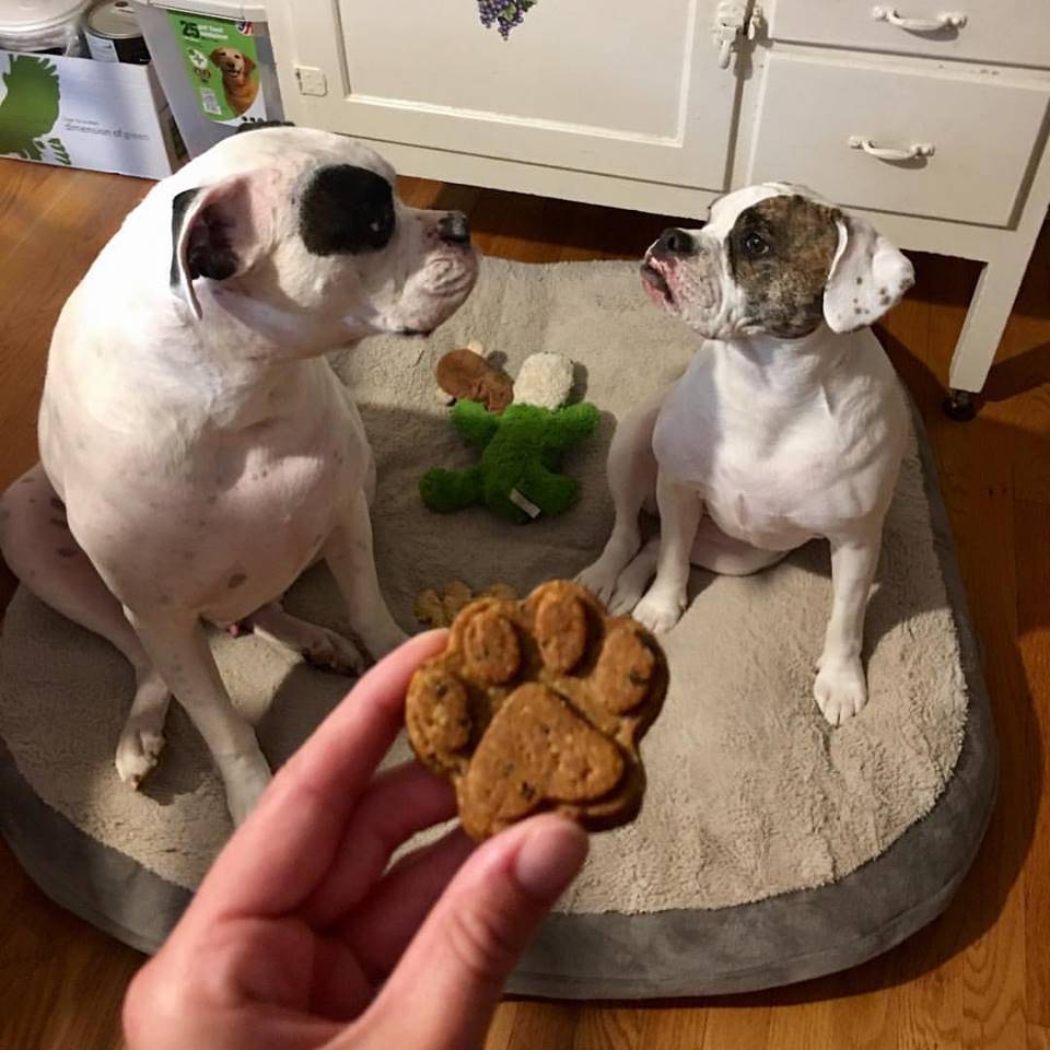 Charlottesville Dog Barkery | bakery | 1652 Old Lynchburg Rd, Charlottesville, VA 22903, USA | 4342828186 OR +1 434-282-8186