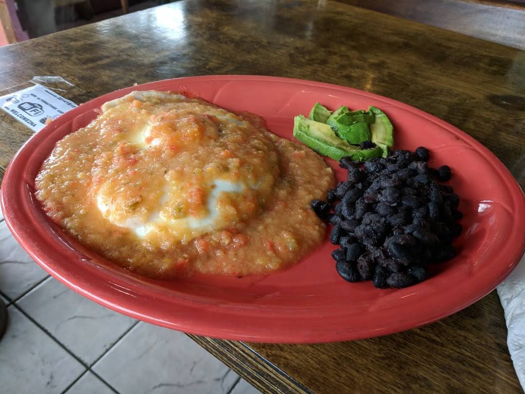 New Alternatives Cafe | cafe | 1600 Guerrero St, San Francisco, CA 94110, USA | 4158265282 OR +1 415-826-5282