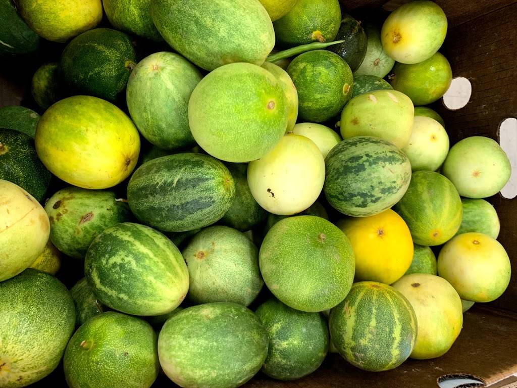 Bharat Bazar Food Court | restaurant | 1165 Reed Ave, Sunnyvale, CA 94086, USA | 4082612424 OR +1 408-261-2424