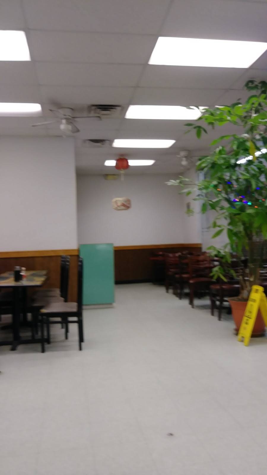 China Moon | restaurant | 592 S Sycamore St, Rose Hill, NC 28458, USA | 9102892347 OR +1 910-289-2347