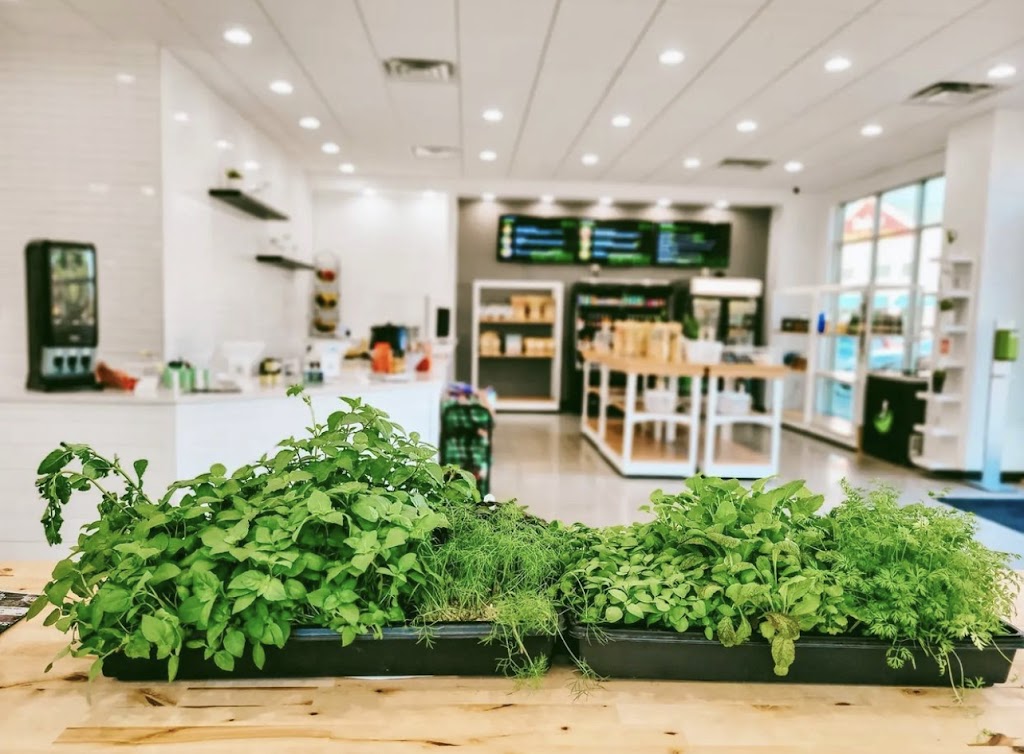 Soul of the Bowl | cafe | 2861 Lynnhaven Dr Ste 106, Virginia Beach, VA 23451, USA | 7577553450 OR +1 757-755-3450