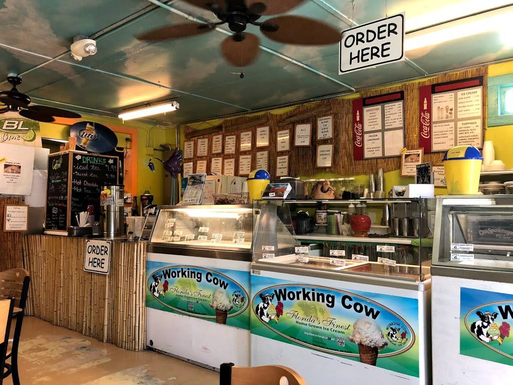 Kooky Coconut | restaurant | 760 Gulf Blvd, Indian Rocks Beach, FL 33785, USA | 7275171300 OR +1 727-517-1300