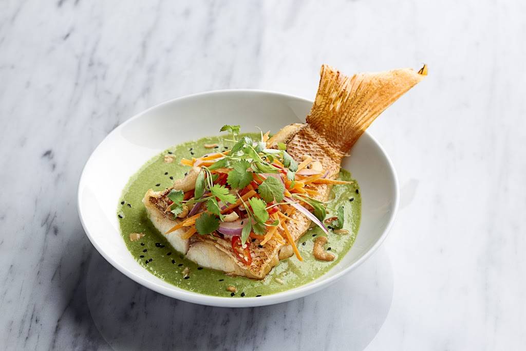 Trevisio Restaurant | restaurant | 6550 Bertner Ave #6, Houston, TX 77030, USA | 7137490400 OR +1 713-749-0400