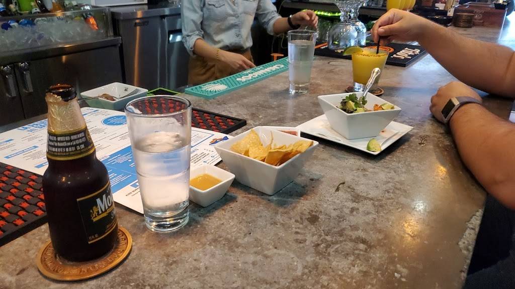 La Palapa del Sabor | restaurant | 118 W Jefferson Blvd, Dallas, TX 75208, USA | 9728637636 OR +1 972-863-7636