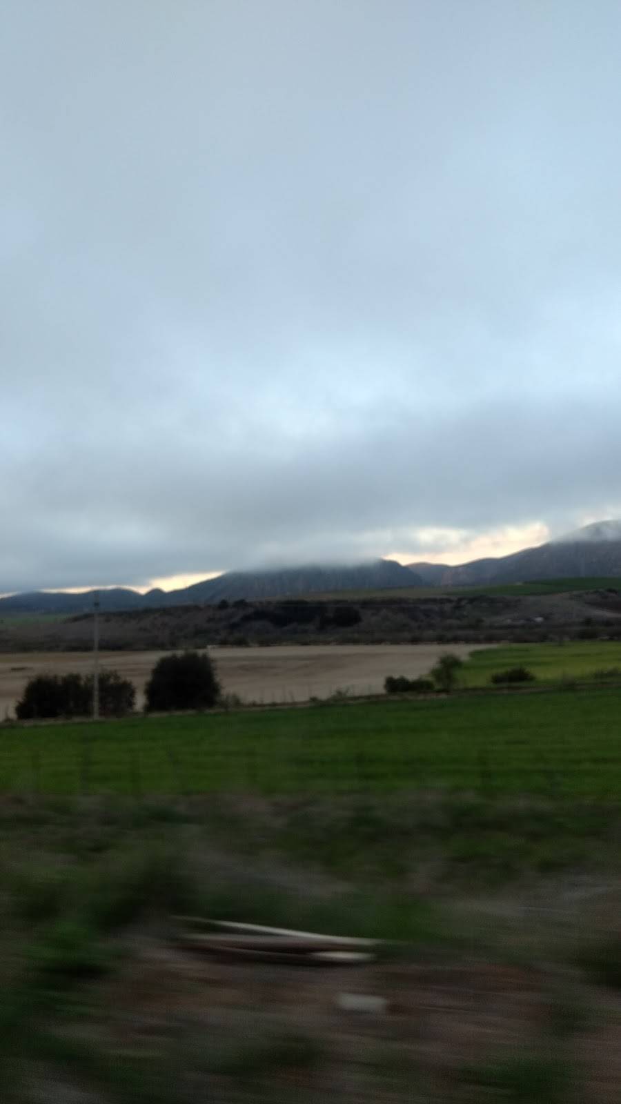 Cocos Santa Rosa | restaurant | Ensenada, Baja California, Mexico | 016611281650 OR +52 661 128 1650