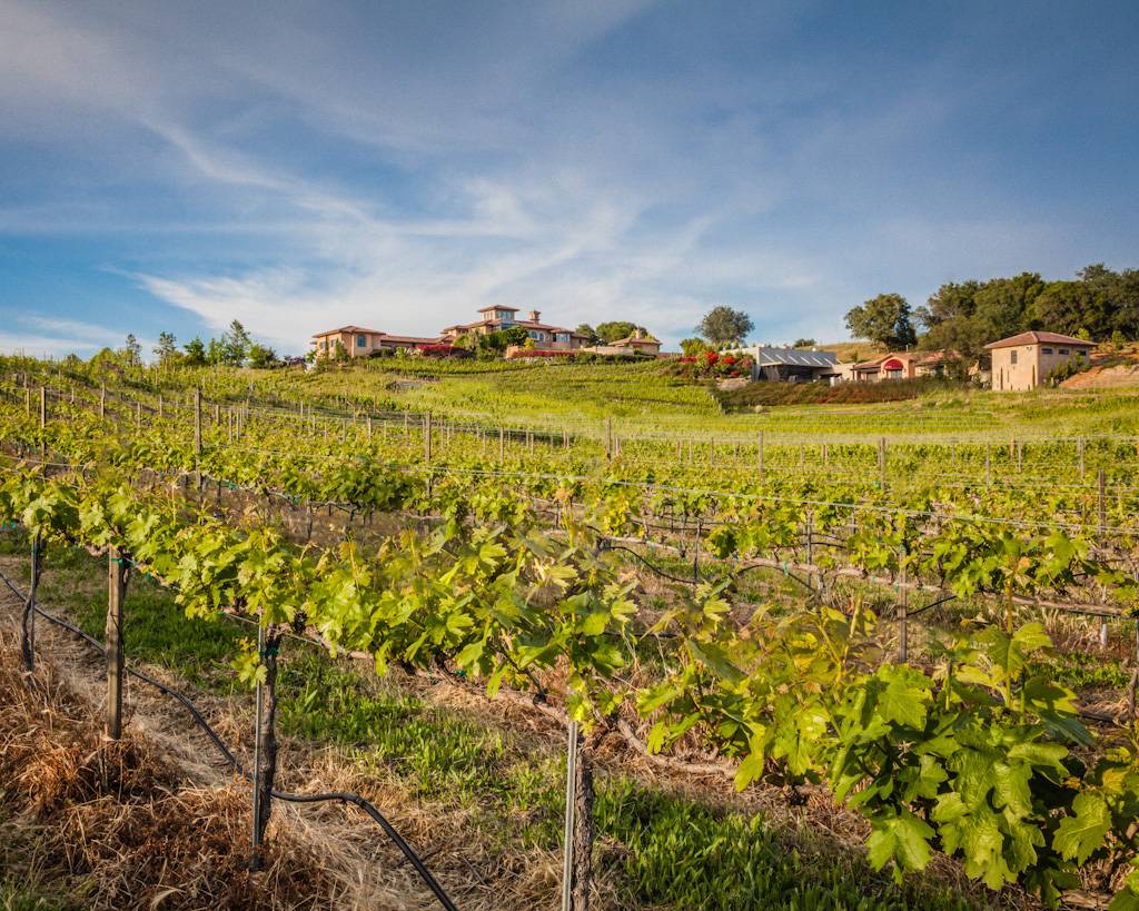 Wise Villa Winery | restaurant | 4200 Wise Rd, Lincoln, CA 95648, USA | 9165430323 OR +1 916-543-0323