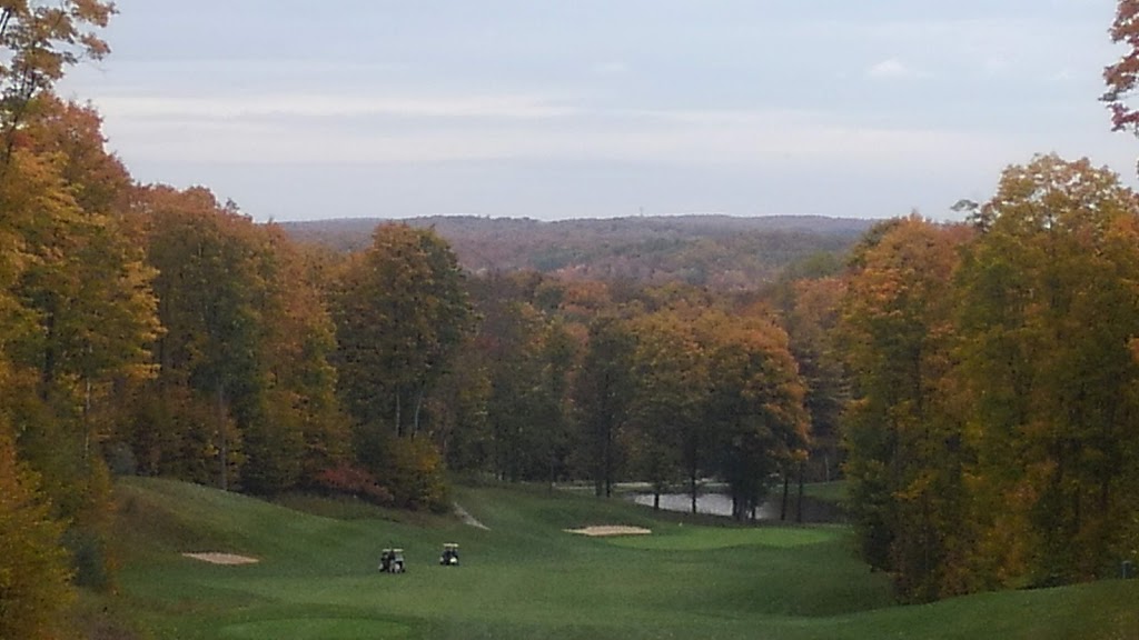 Chippers Pub | restaurant | 2618 Hawks Eye Dr, Bellaire, MI 49615, USA | 2315333030 OR +1 231-533-3030