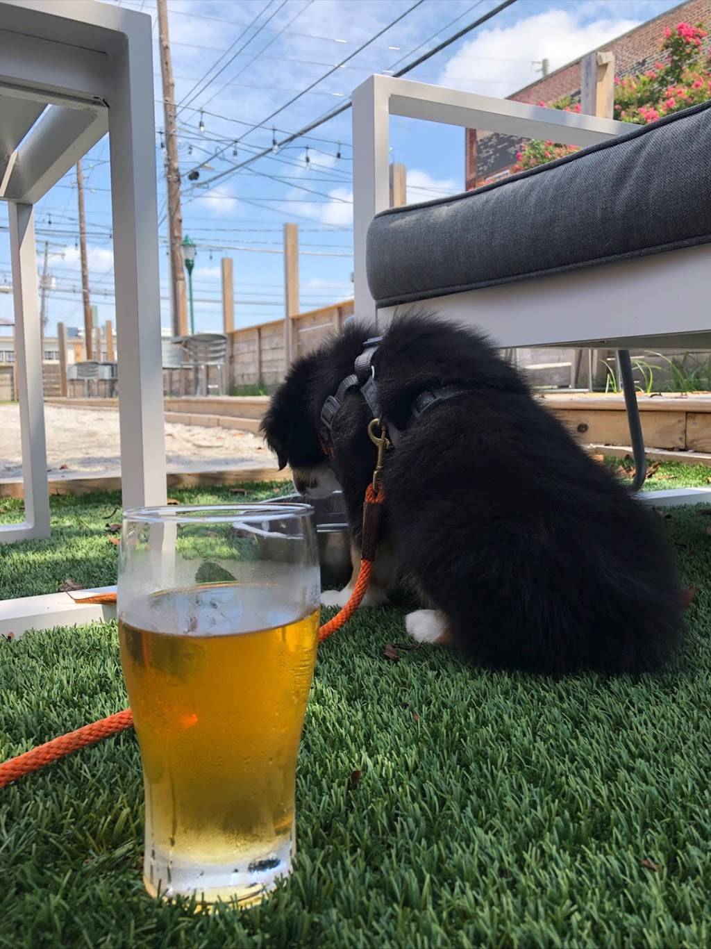 Heaven & Ale Brewpub | restaurant | 342 E Main St, Chattanooga, TN 37408, USA | 4235416570 OR +1 423-541-6570