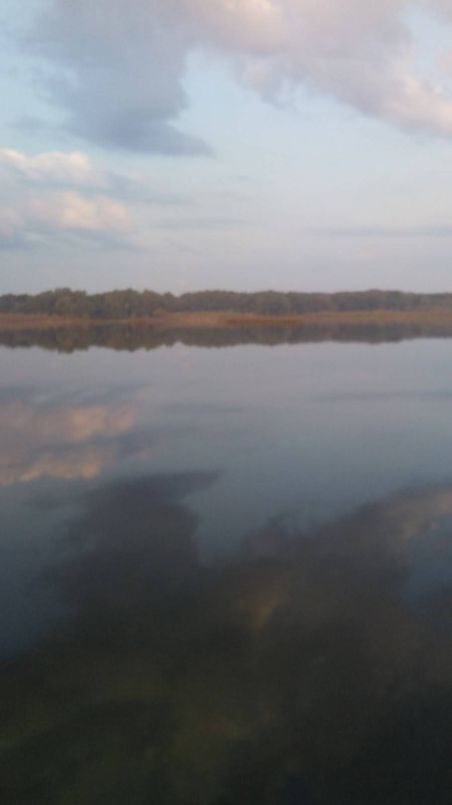 Amber & Dees Cafe | restaurant | 2401 Hilton Rd, Jackson, MI 49201, USA | 5174359493 OR +1 517-435-9493