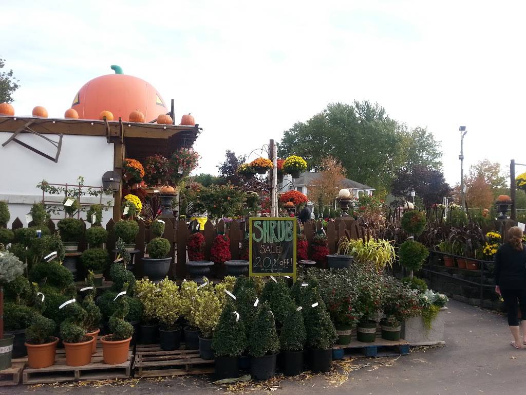 99 Restaurants | restaurant | 194 Cambridge Rd, Woburn, MA 01801, USA | 7819388999 OR +1 781-938-8999