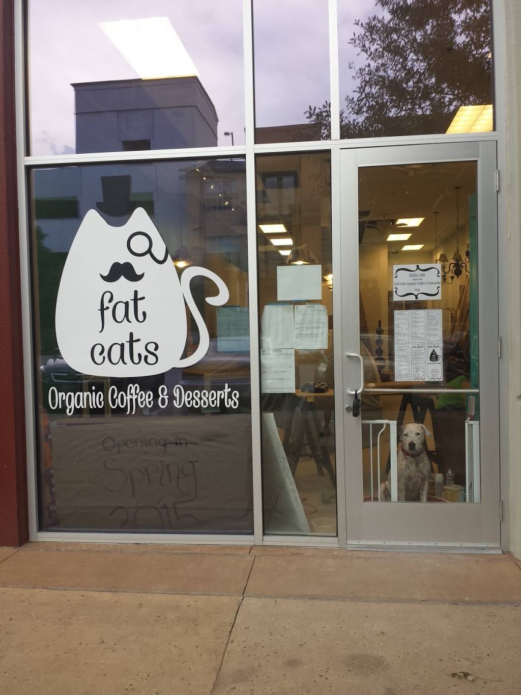 Fat Cats Organic Coffee & Desserts | bakery | 7020 Easy Wind Dr Suite 140, Austin, TX 78752, USA | 5122962960 OR +1 512-296-2960