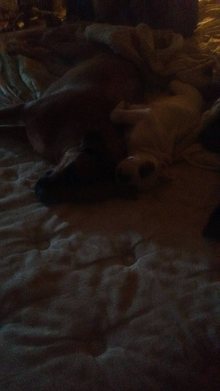 Pub 7 | restaurant | 9364 Old Rte 67 #8940, Bonne Terre, MO 63628, USA | 5733584467 OR +1 573-358-4467