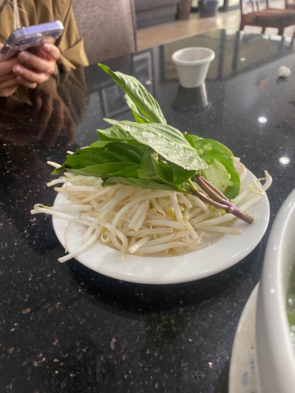 Pho Sunshine | restaurant | 2999 Payne Ave #142, Cleveland, OH 44114, USA | 2165151111 OR +1 216-515-1111