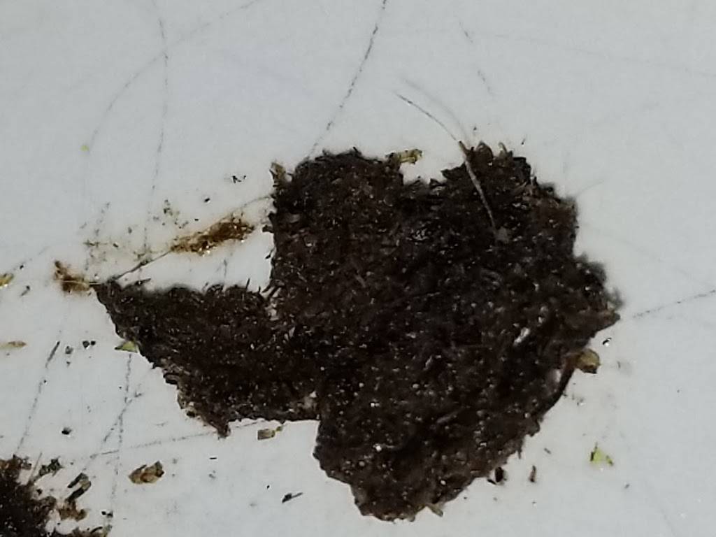 Dominos Pizza | meal delivery | 140 NW John Jones Dr Ste 100, Burleson, TX 76028, USA | 8175295656 OR +1 817-529-5656