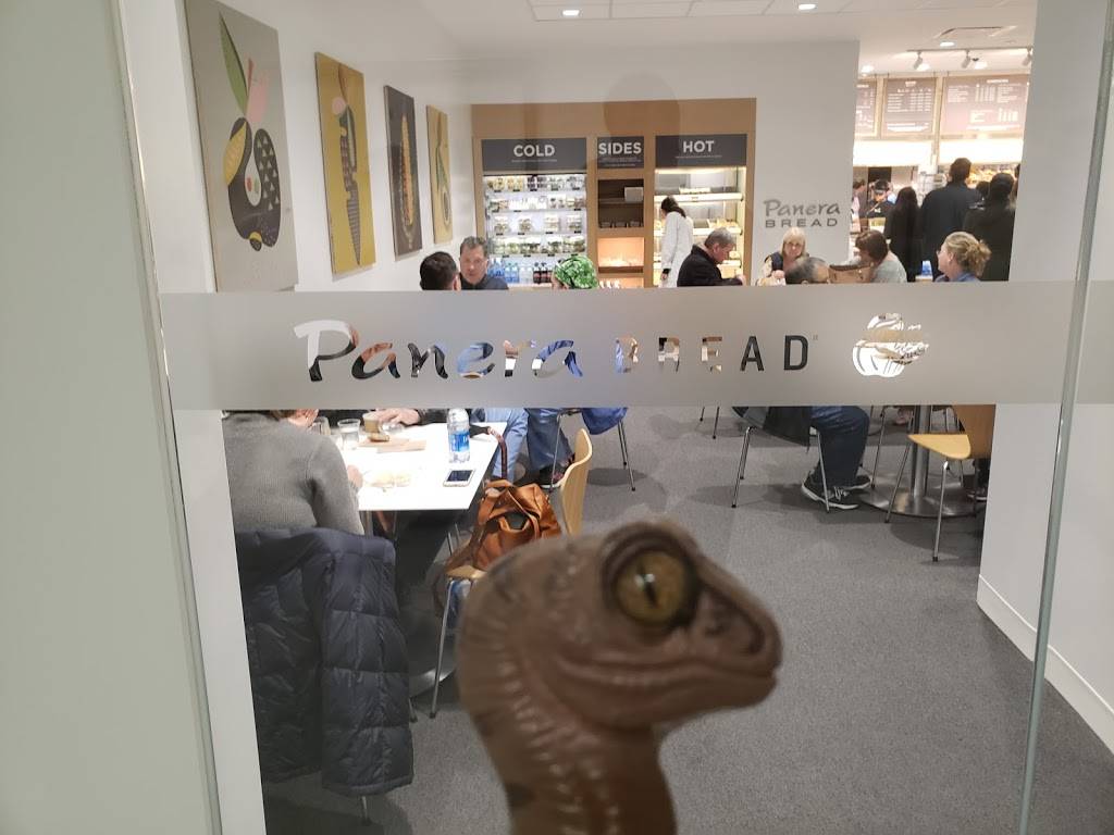 Panera Bread | cafe | 9500 Euclid Ave, Cleveland, OH 44195, USA | 2164454011 OR +1 216-445-4011