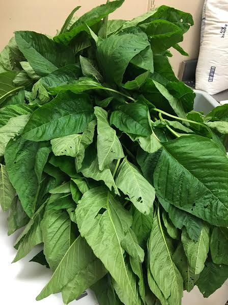 Queens Jamaican Restaurant | restaurant | 451 E Belt Blvd, Richmond, VA 23224, USA | 8042300800 OR +1 804-230-0800