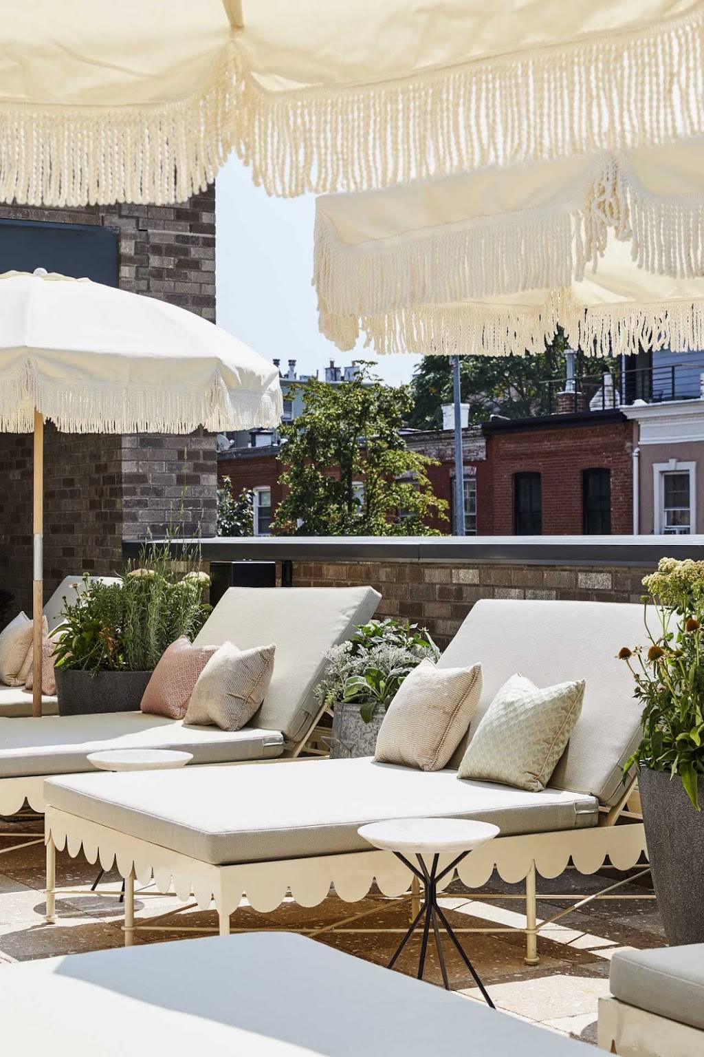 Backyard | restaurant | 97 Wythe Ave, Brooklyn, NY 11249, USA | 7182157100 OR +1 718-215-7100