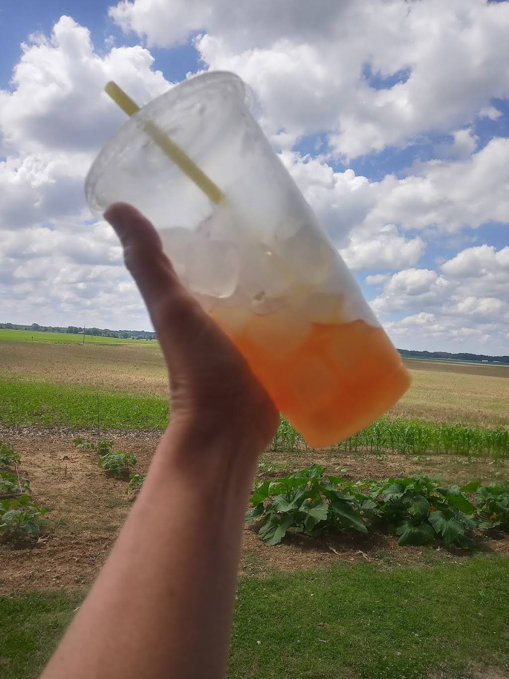 Hippie Juze Nutrition | restaurant | 405 W Gaines St, Lawrenceburg, TN 38464, USA | 9312446226 OR +1 931-244-6226