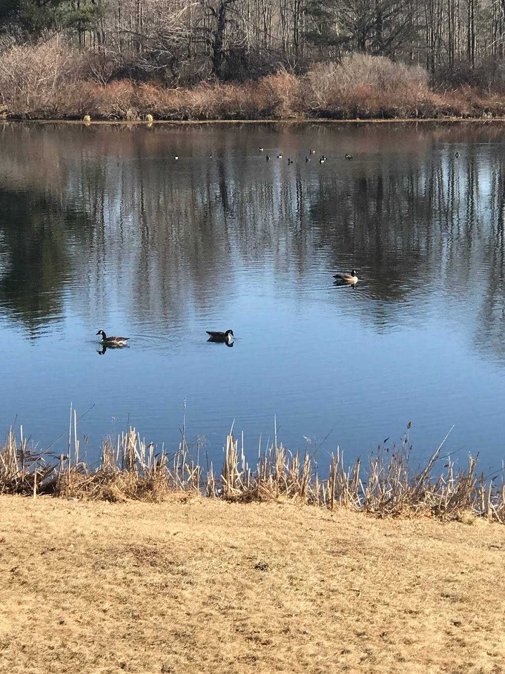 Lakeside Manor Inn | restaurant | 3336 Frontier Rd, East Stroudsburg, PA 18302, USA | 2722002900 OR +1 272-200-2900