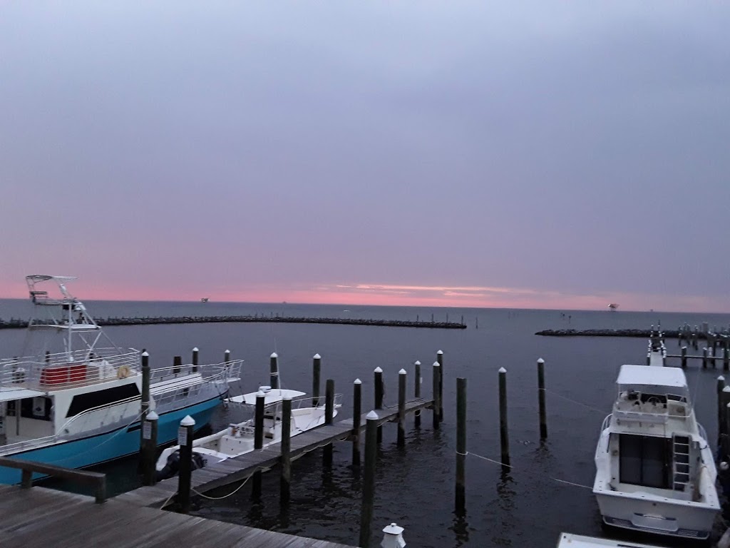 Tacky Jacks Fort Morgan | restaurant | 1577 AL-180, Gulf Shores, AL 36542, USA | 2519688341 OR +1 251-968-8341