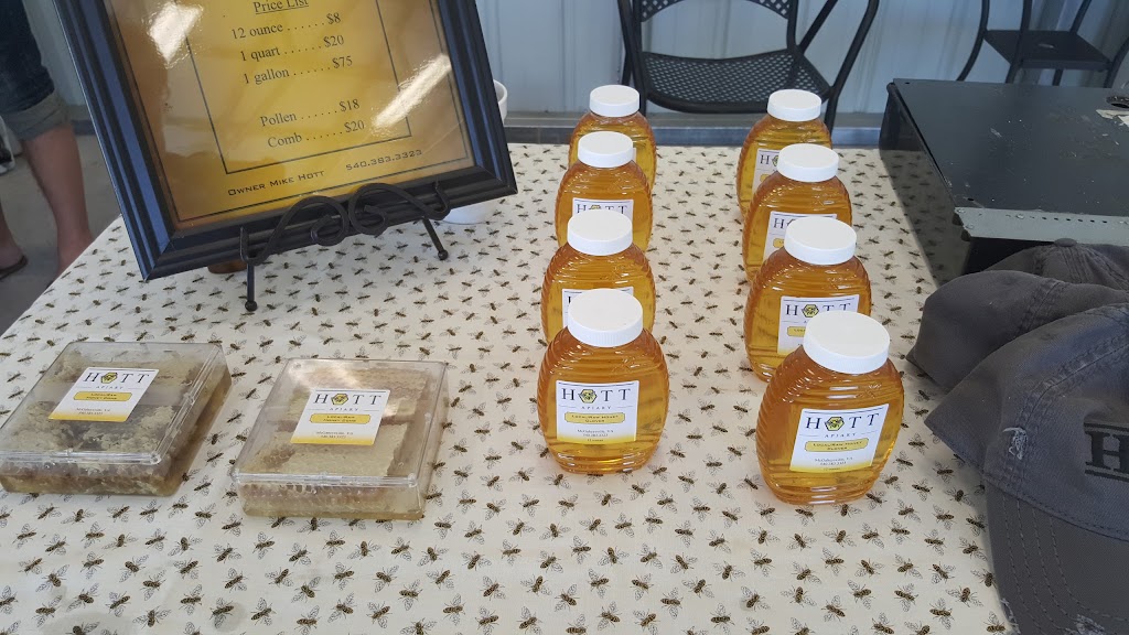 VillageoftheValley | restaurant | 11702 Spotswood Trail, Elkton, VA 22827, USA | 5404053077 OR +1 540-405-3077