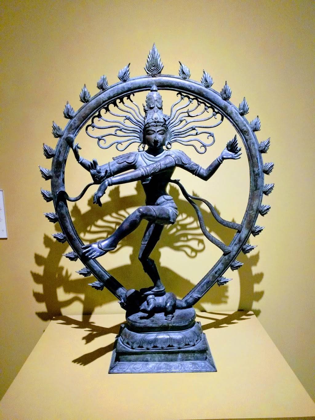 Museum of Fine Arts | restaurant | 255 Beach Dr NE, St. Petersburg, FL 33701, USA | 7278962667 OR +1 727-896-2667