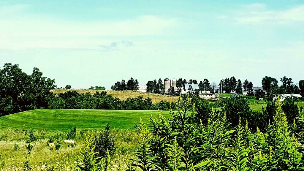 Lake Pepin Golf Course | meal takeaway | 70895 260th Ave, Lake City, MN 55041, USA | 6513455768 OR +1 651-345-5768