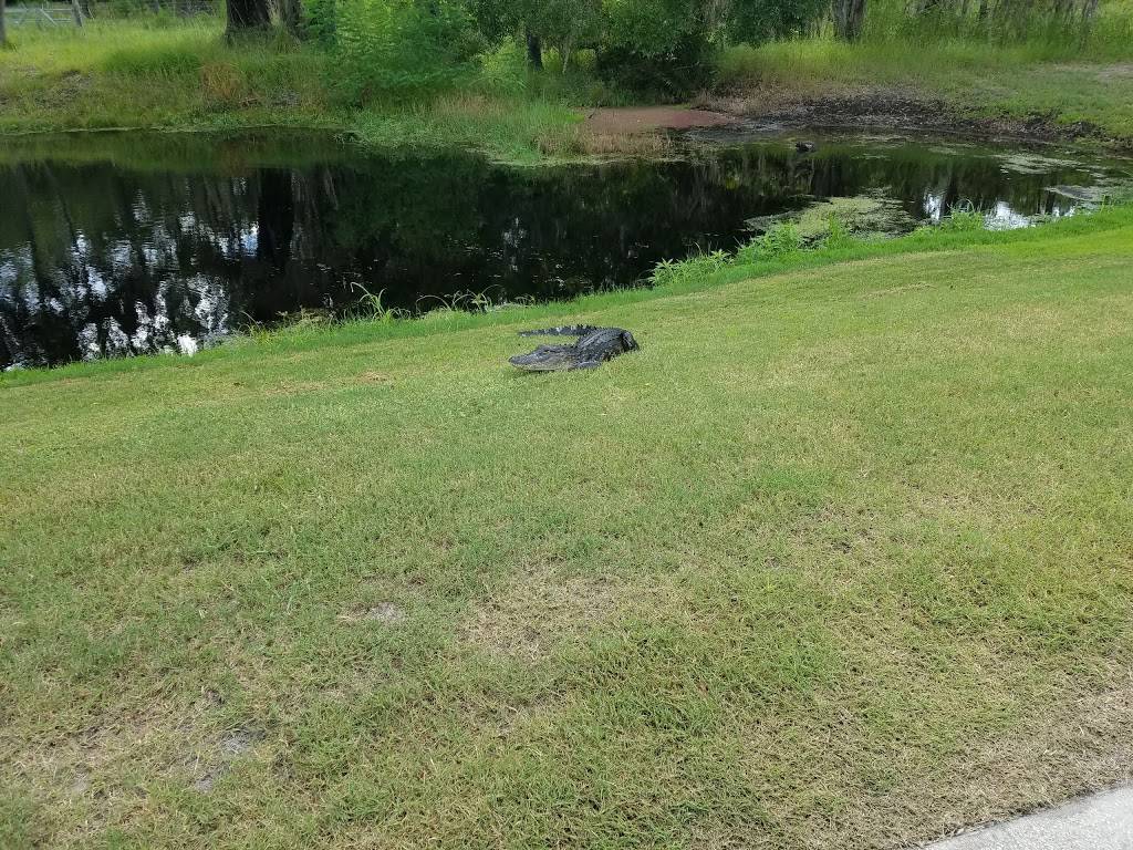 Crescent Oaks Golf Club | restaurant | 3300 Crescent Oaks Blvd, Tarpon Springs, FL 34688, USA | 7279374653 OR +1 727-937-4653