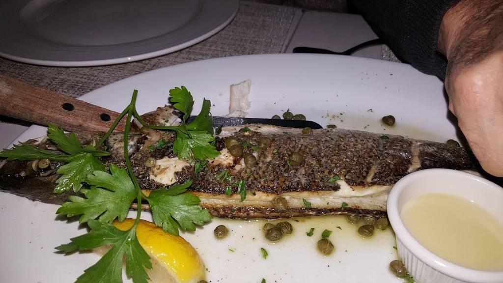 Kyma | restaurant | 1446 Old Northern Blvd, Roslyn, NY 11576, USA | 5166213700 OR +1 516-621-3700