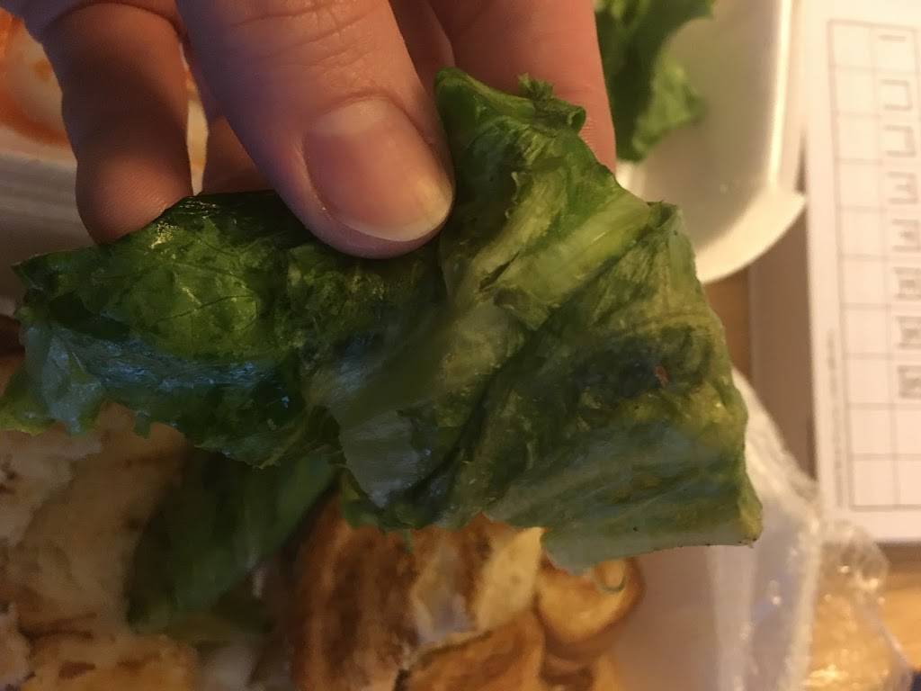 Bagel City – South | bakery | 6006 SW 18th St, Boca Raton, FL 33433, USA | 5613935383 OR +1 561-393-5383