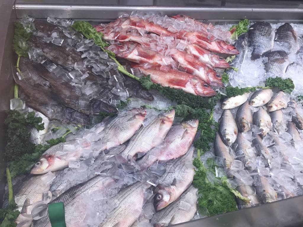 Sushi N Go | restaurant | 2515 Torrance Blvd, Torrance, CA 90503, USA | 3106138919 OR +1 310-613-8919