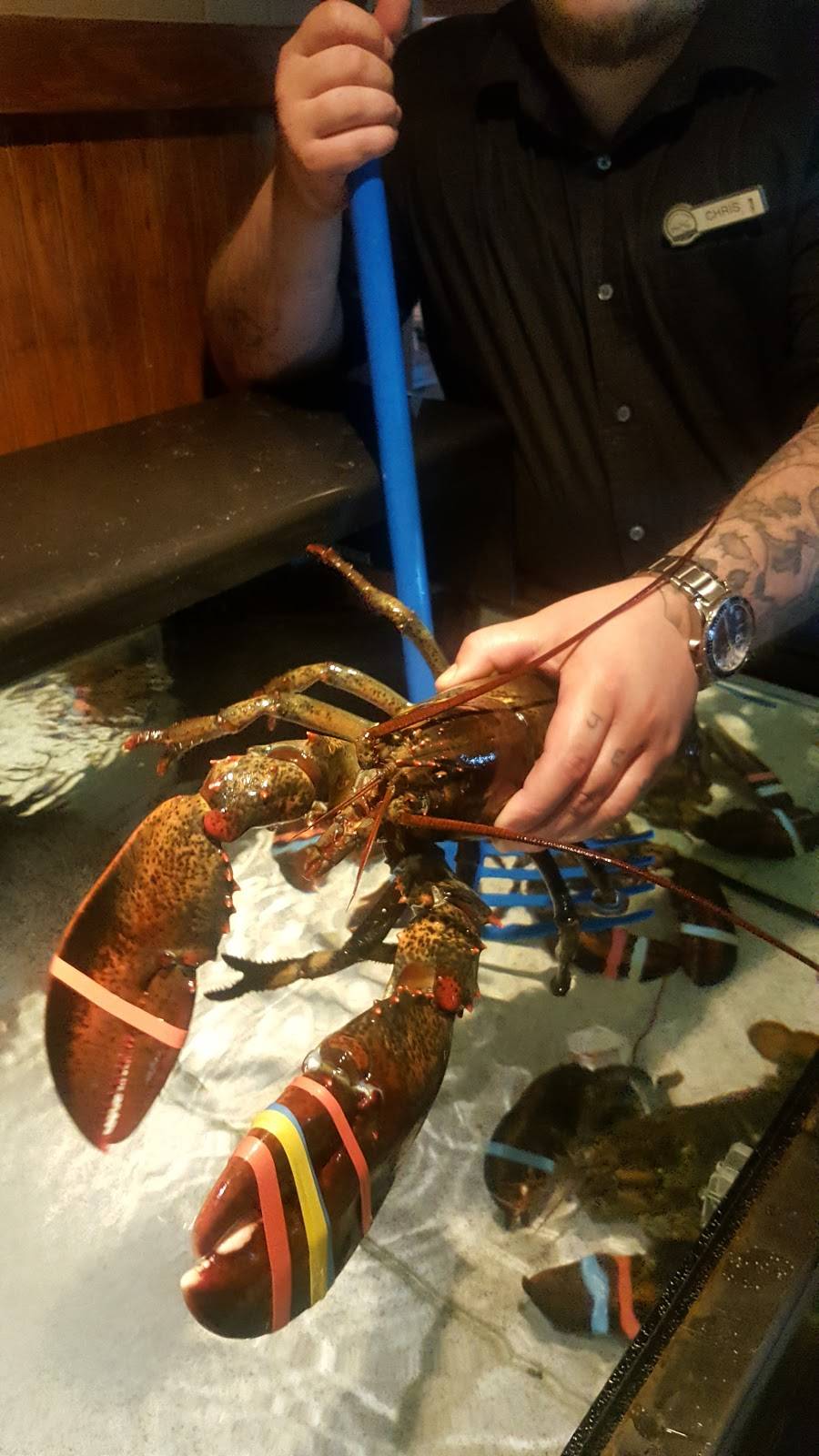 Red Lobster | restaurant | 9069 Vantage Point Dr, Dallas, TX 75243, USA | 9728898124 OR +1 972-889-8124