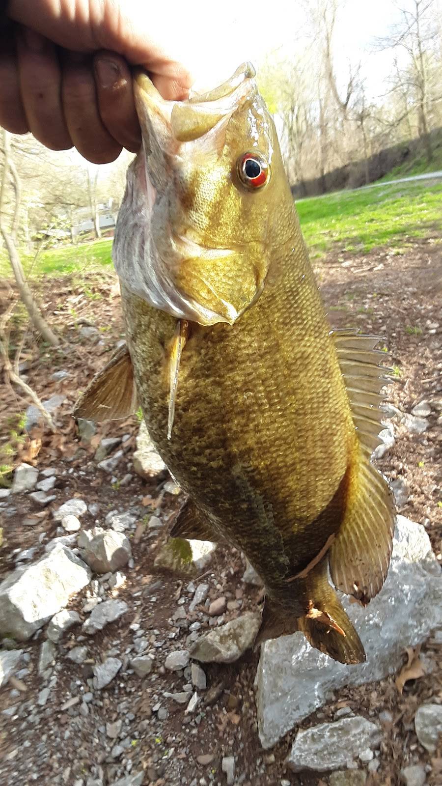 Antonios Pizza | restaurant | 209 York St, Goldsboro, PA 17319, USA | 7179325678 OR +1 717-932-5678