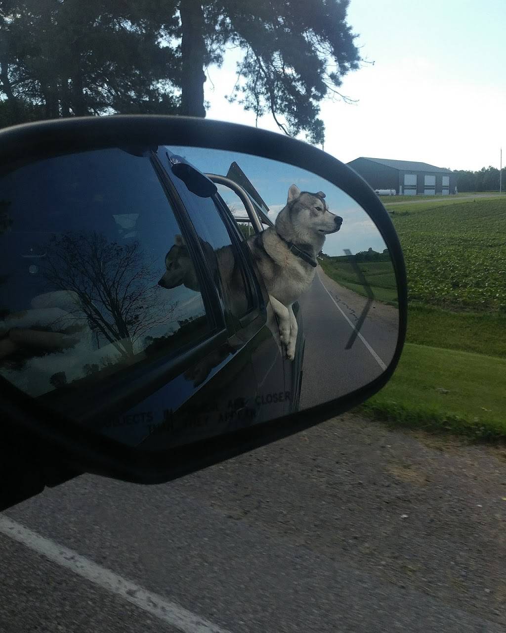 Daves Diner | restaurant | 188 Huron Rd, Sebringville, ON N0K 1X0, Canada | 5193938726 OR +1 519-393-8726