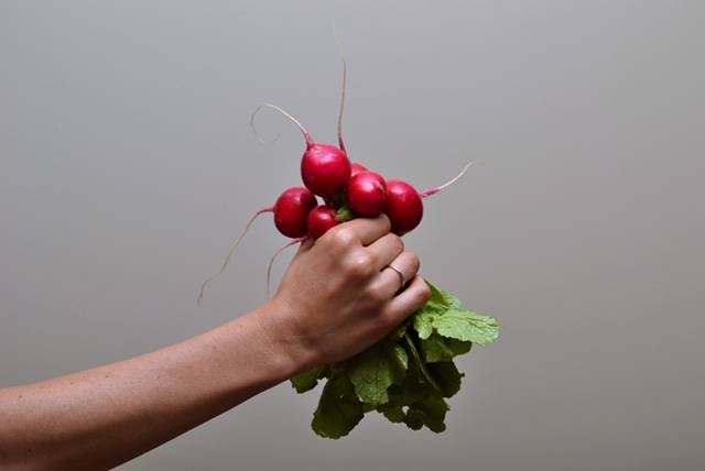 colour palate TOSA | restaurant | 7488 W State St, Wauwatosa, WI 53213, USA | 4143862212 OR +1 414-386-2212