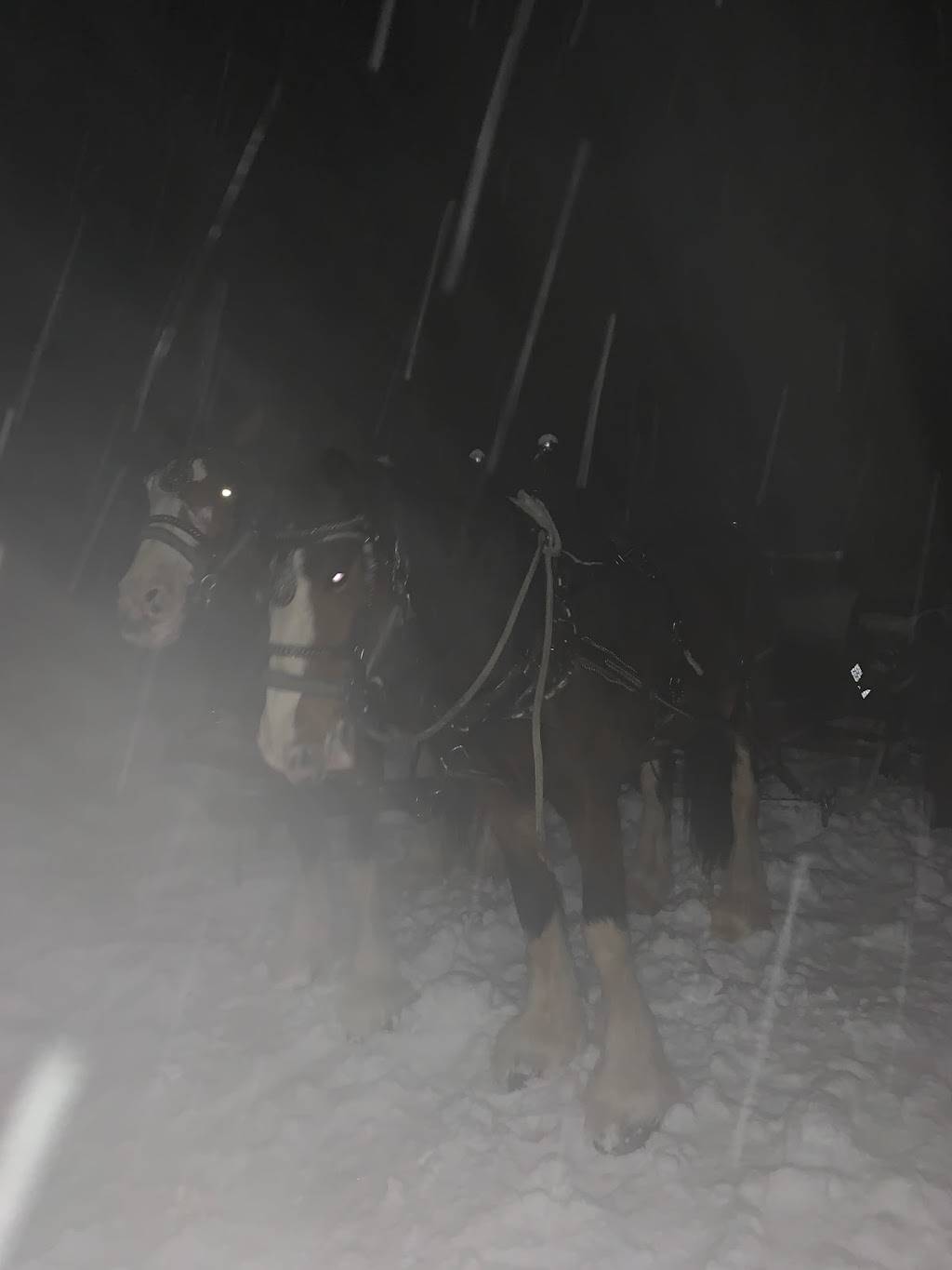 Snowed Inn Sleigh Co. Restaurant | restaurant | 310 Lowell Ave, Park City, UT 84060, USA | 4356473310 OR +1 435-647-3310