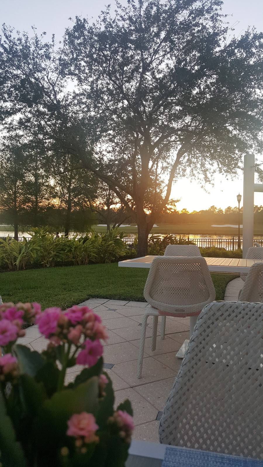 Bleu | restaurant | 4012 Central Florida Pkwy, Orlando, FL 32837, USA | 4072062400 OR +1 407-206-2400