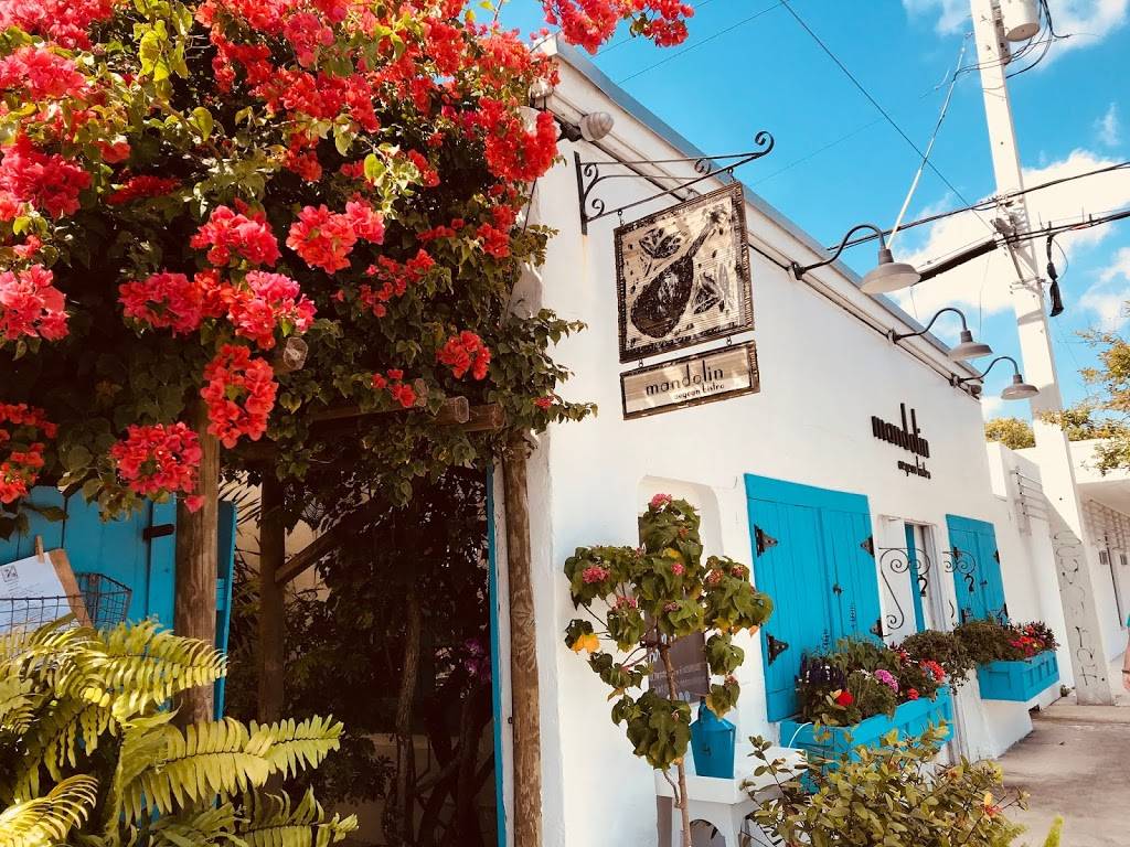 Mandolin Aegean Bistro | restaurant | 4312 NE 2nd Ave, Miami, FL 33137, USA | 3057499140 OR +1 305-749-9140
