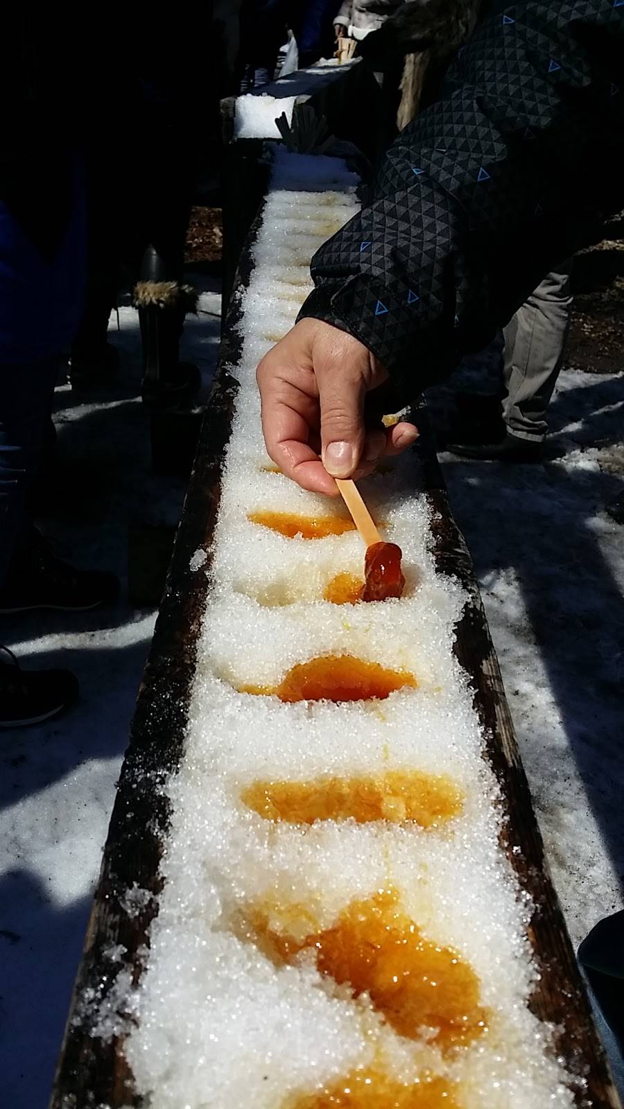 Table Champêtre Les Rondins | restaurant | 5885 Route Arthur Sauvé, Mirabel, QC J7N 2W4, Canada | 4502582467 OR +1 450-258-2467