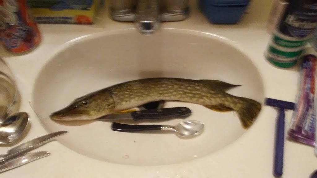 Subway | restaurant | 9169 W Lake City Rd, Houghton Lake, MI 48629, USA | 9894222004 OR +1 989-422-2004