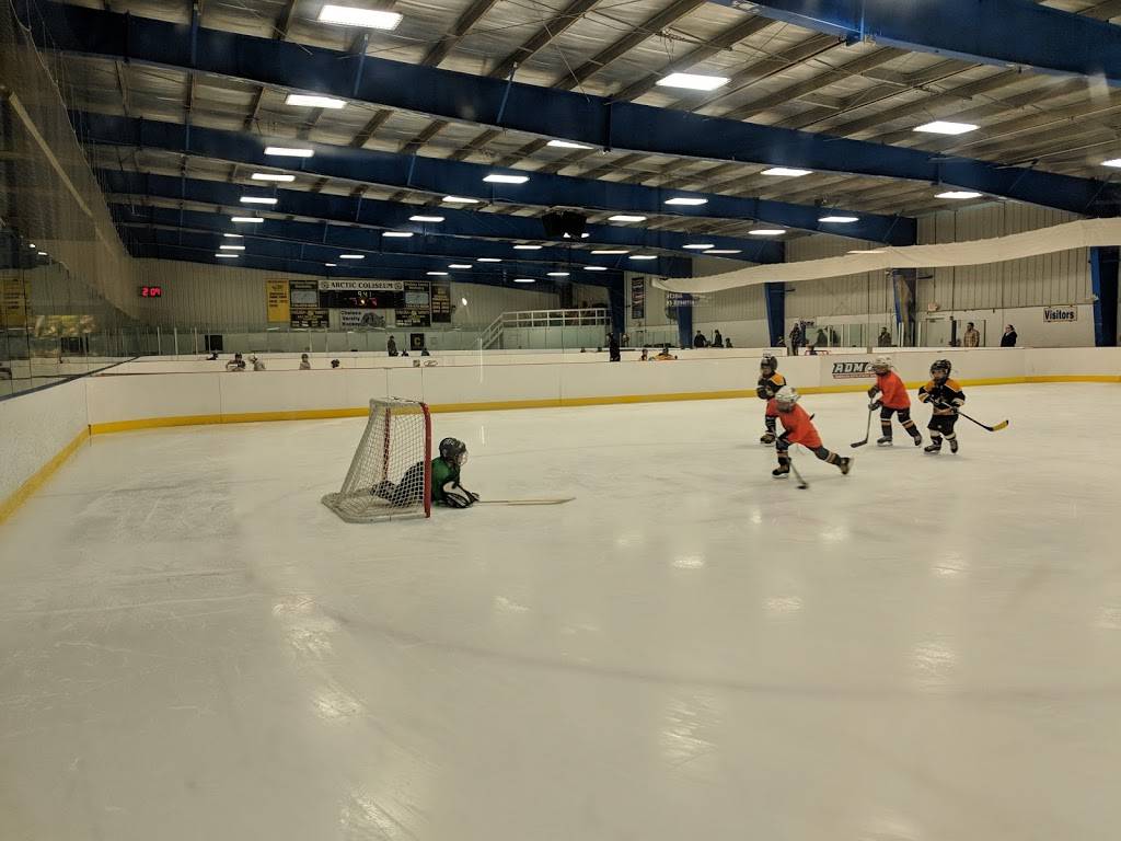 Arctic Coliseum Inc | restaurant | 501 Coliseum Dr, Chelsea, MI 48118, USA | 7344334444 OR +1 734-433-4444