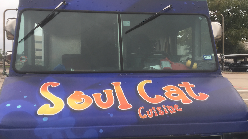 Soul Cat (Food Truck) | restaurant | 3515 Eastex Fwy, Houston, TX 77026, USA | 8328166089 OR +1 832-816-6089