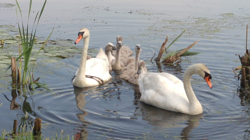 Easton Country Club | restaurant | 265 Purchase St, South Easton, MA 02375, USA | 5082382500 OR +1 508-238-2500